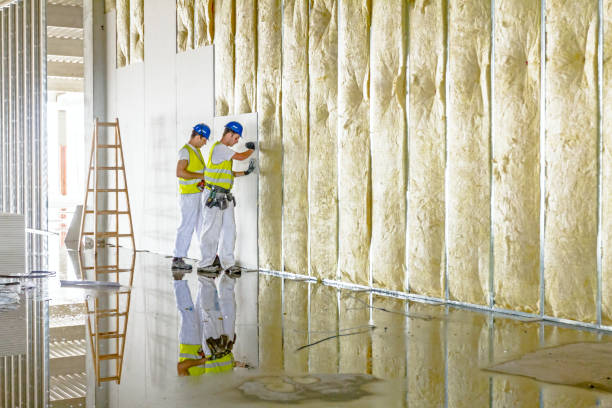 Types of Insulation We Offer in White Mountain Lake, AZ